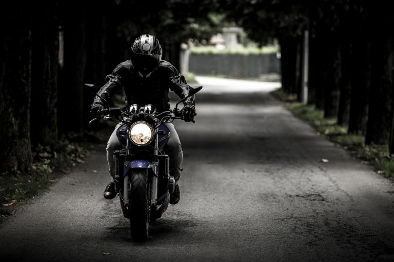 Motard casqué, en blouson de cuir, roulant phare allumé sur une moto roadster dans une allée bordée d’arbres